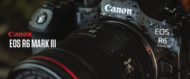 Canon eos r6 mark III